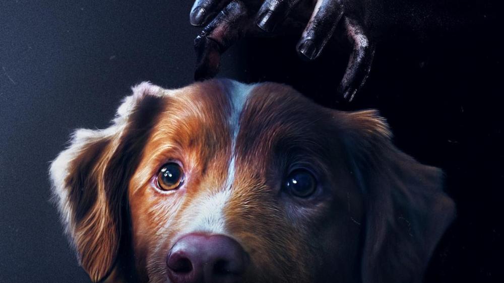 Does the dog die in Good Boy?