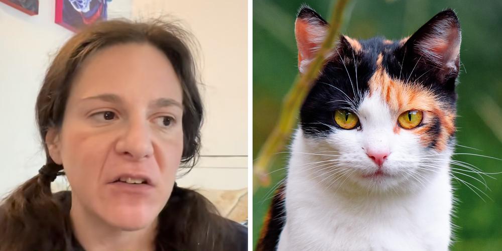 “It didn’t feel good talking to her”: Animal communicator shares story of speaking to a “demonic” cat. It’s not quite that simple