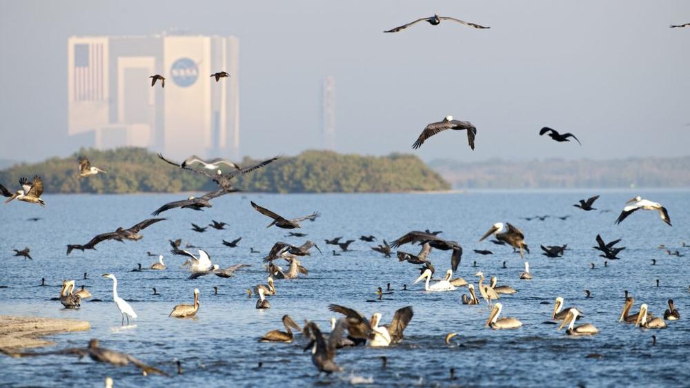 Trump orders cull of regulations governing commercial rocket launches