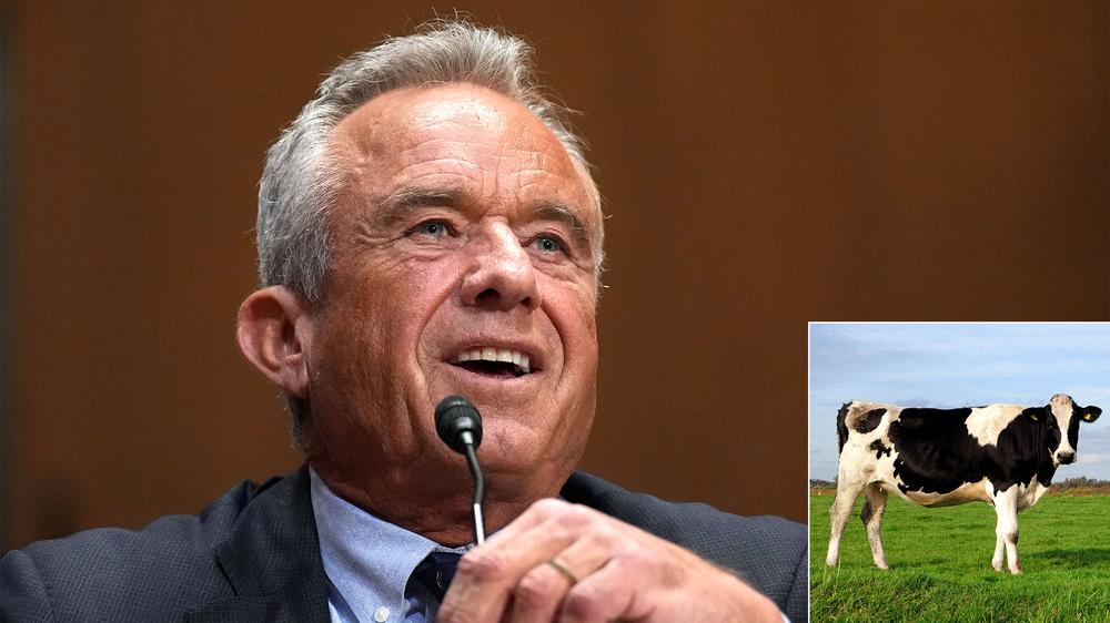 RFK Jr. Recommends Drinking Anything That Comes Out Of Cow