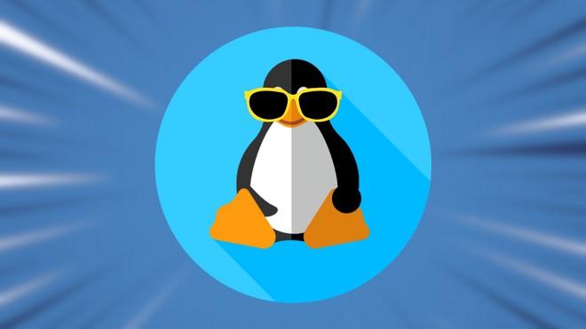 Linux sfonda il muro del 5% negli USA: utenti abbandonano Windows