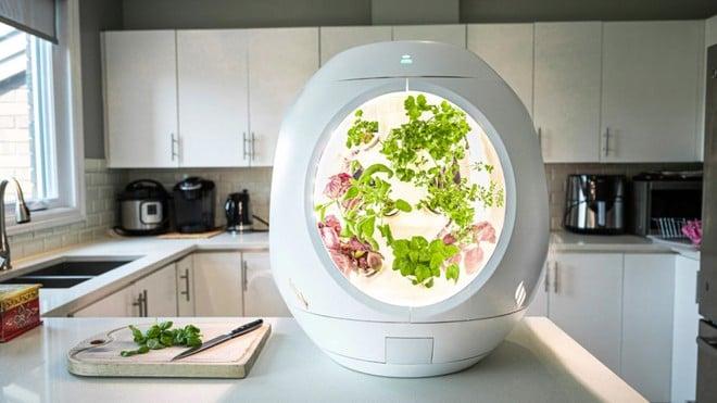 Il giardinaggio indoor sta diventando sempre più smart e popolare