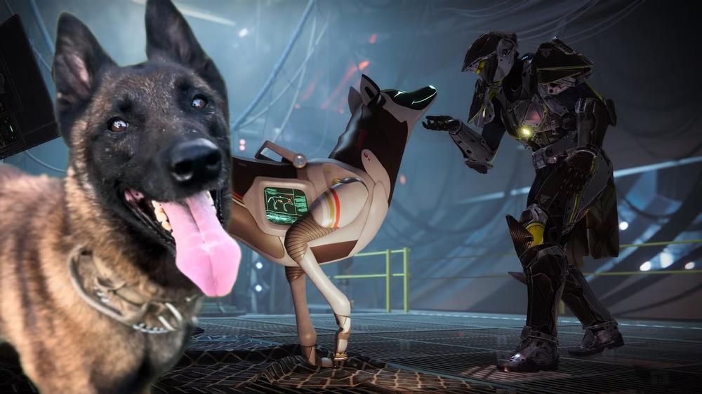 Artemis, the real-life dog behind Destiny 2’s Archie, has died