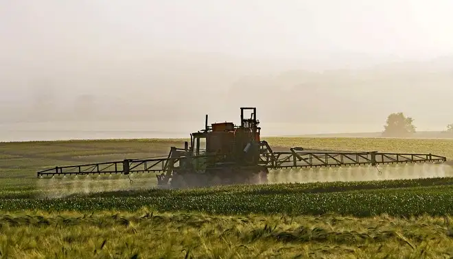 Pesticidi e salute umana: EFSA, ecco i risultati delle analisi