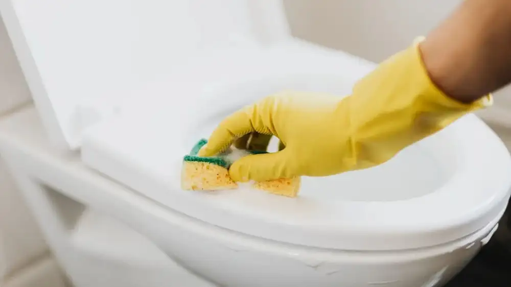 Japanese company is paying people to donate “healthy” poop for research