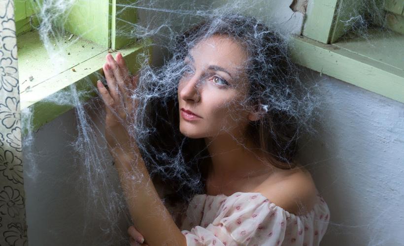 Nice! Cobwebs in Apartment Now Count as Seasonal Decoration