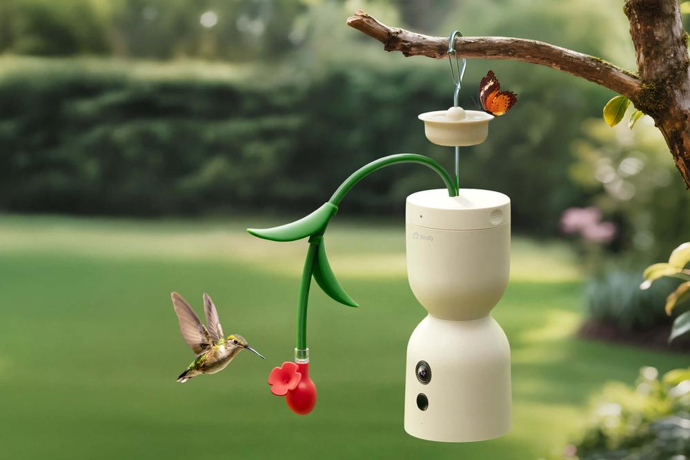 Birdfy’s Hum Bloom captures 120fps slow motion footage of hummingbirds
