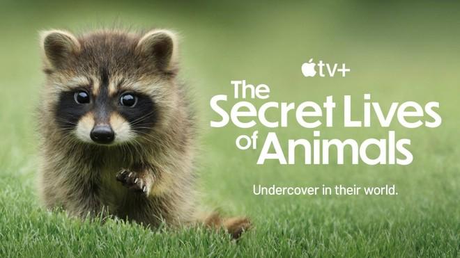 Docuserie Apple TV+ candidata a 6 Emmy: la natura mai vista prima