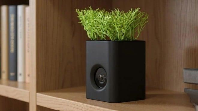 Vaso o telecamera? Ecco il nuovo gadget di Wyze