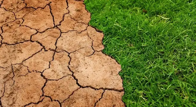 Cambiamento climatico un problema molto serio: cosa ne pensano i cittadini europei
