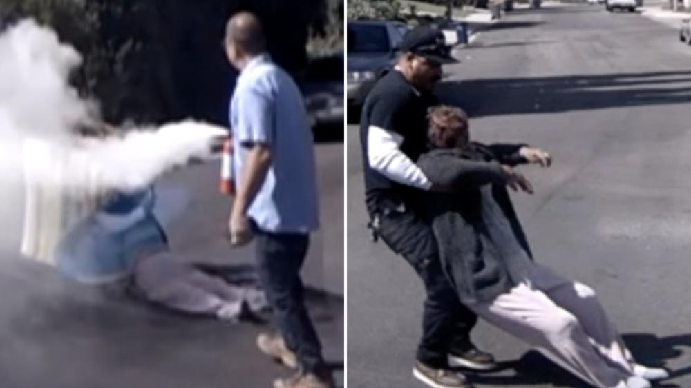 Plumbers save grandma after massive swarm of bees sting her hundreds of times
