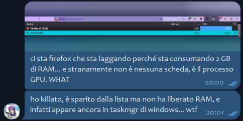 la volpe e la finestra fanno insieme il grande spacc (glitch Firefox coi freeze a caso)