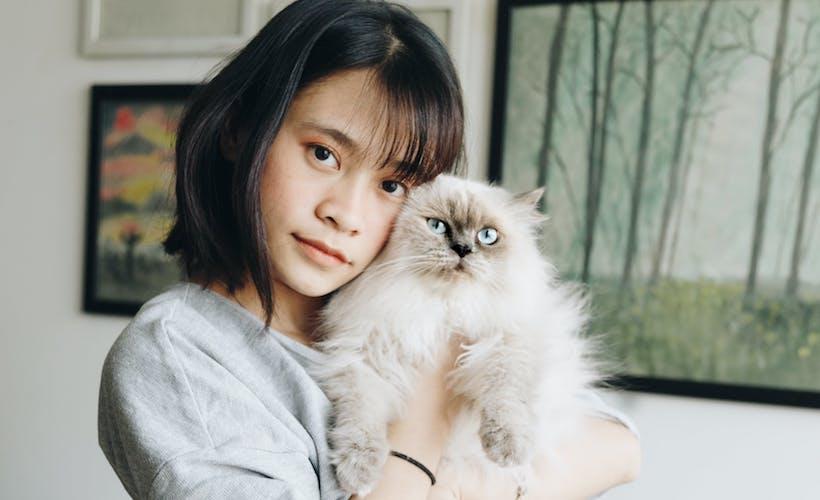 Hostile Workplace? My Cat Joined the Meeting and No One Said Hi