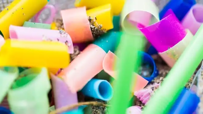 Bioplastica più tossica della plastica tradizionale, rischi per la salute