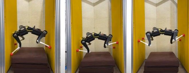 Robot-cane da record: scala pareti 50 volte più veloce dei rivali | Video