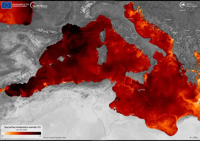Cambiamento climatico, mar Mediterraneo rovente!
