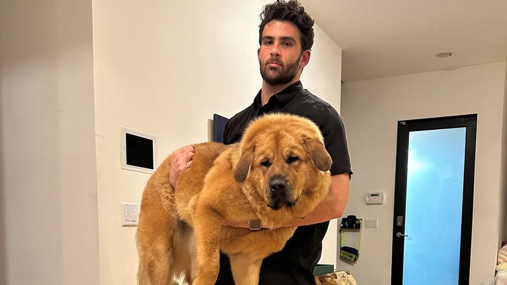 PETA responds to allegations Hasan Piker used shock collar on his dog