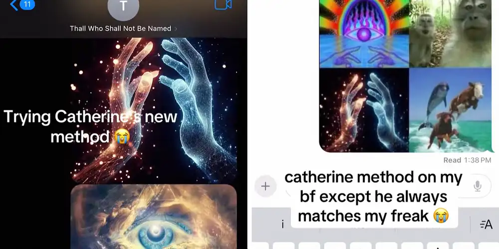 The Catherine Method meme proves the internet can make anything funny