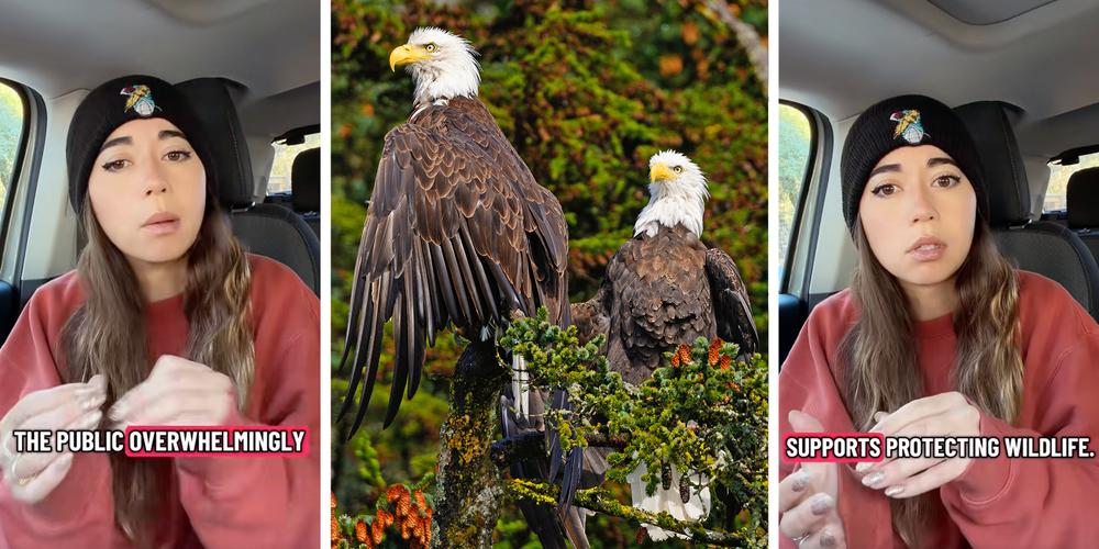 “We have until December 22”: Maya Higa asks fans to fight Trump admin’s ESA rule change impacting endangered species