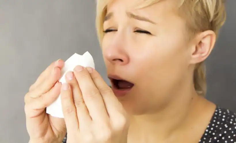 I LIVED IT: I Paused a Conversation to Sneeze and Then I Couldn’t Sneeze