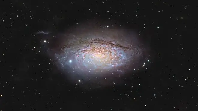 Il “girasole cosmico” immortalato da un fotografo amatoriale
