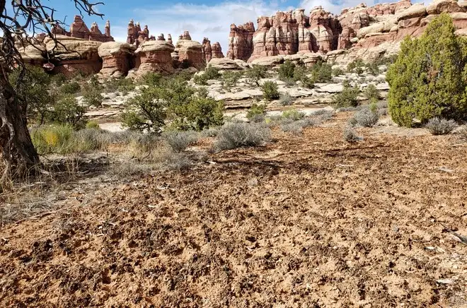 Cambiamenti climatici, anch'essi causa della crisi alimentare globale