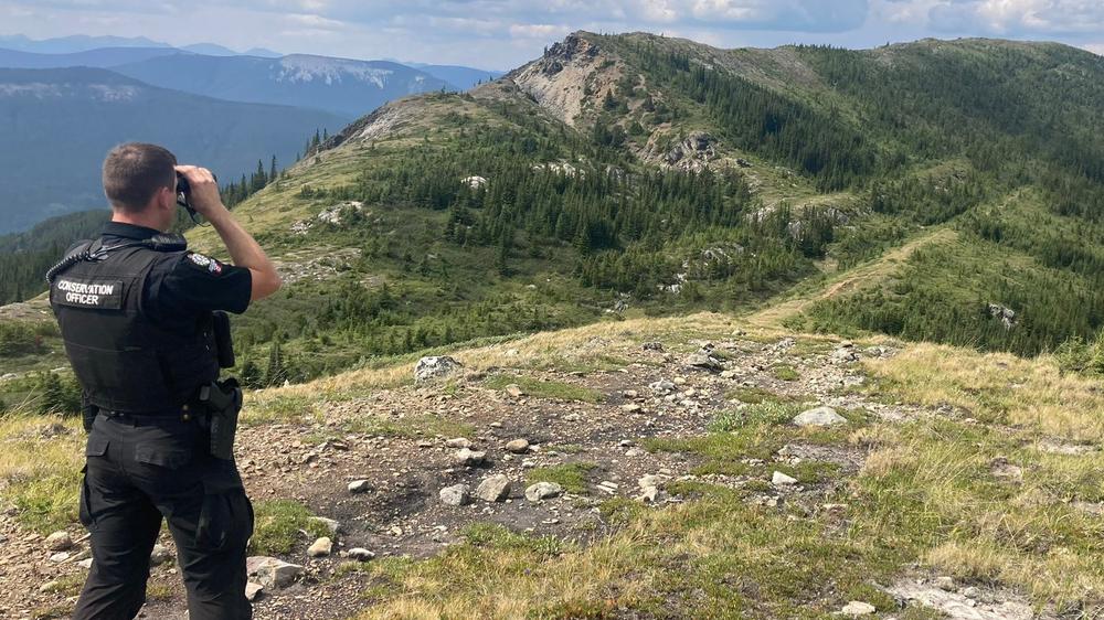 Canada man fends off cougar attack by punching it in the face