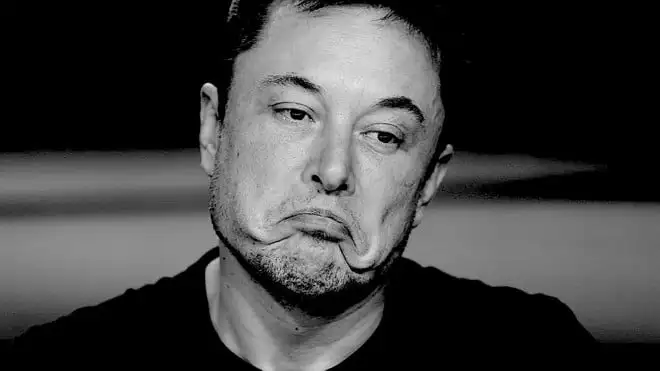 Elon Musk definisce 